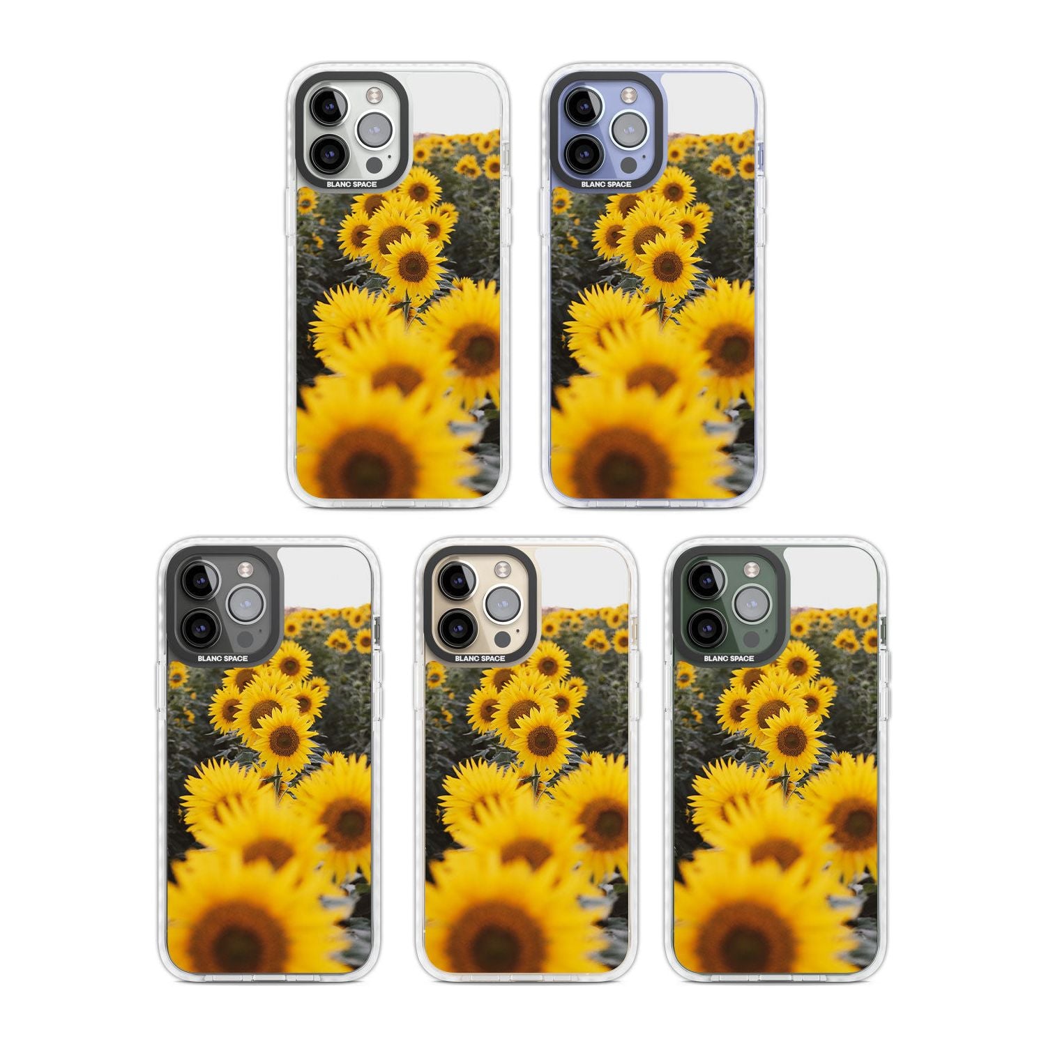 Sunflower Field Photograph