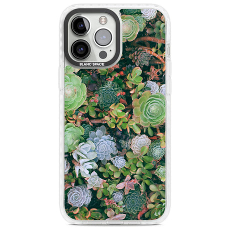 Colourful Succulents Phone Case iPhone 13 Pro Max / Impact Case,iPhone 14 Pro Max / Impact Case Blanc Space