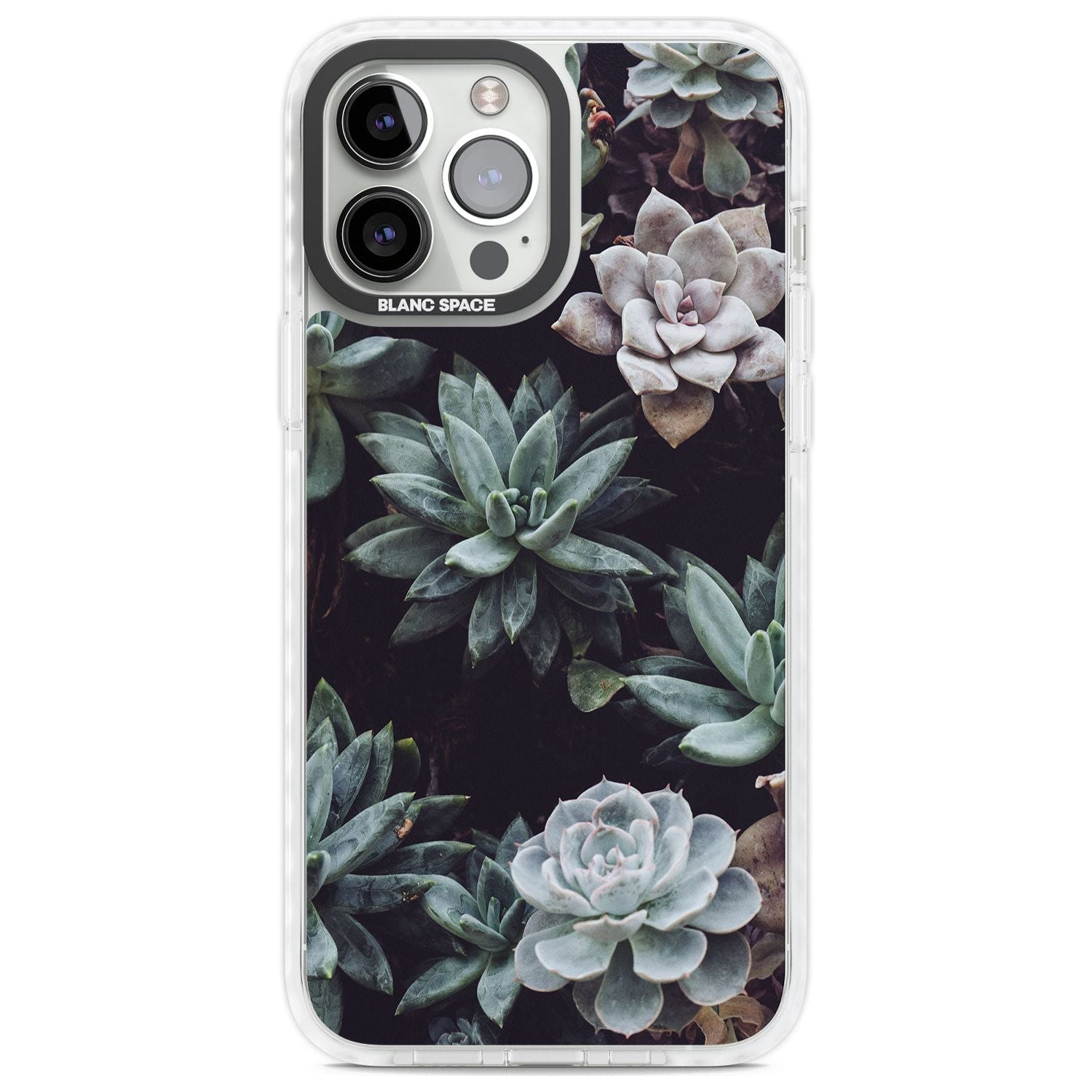 Mixed Succulents - Real Botanical Photographs Phone Case iPhone 13 Pro Max / Impact Case,iPhone 14 Pro Max / Impact Case Blanc Space