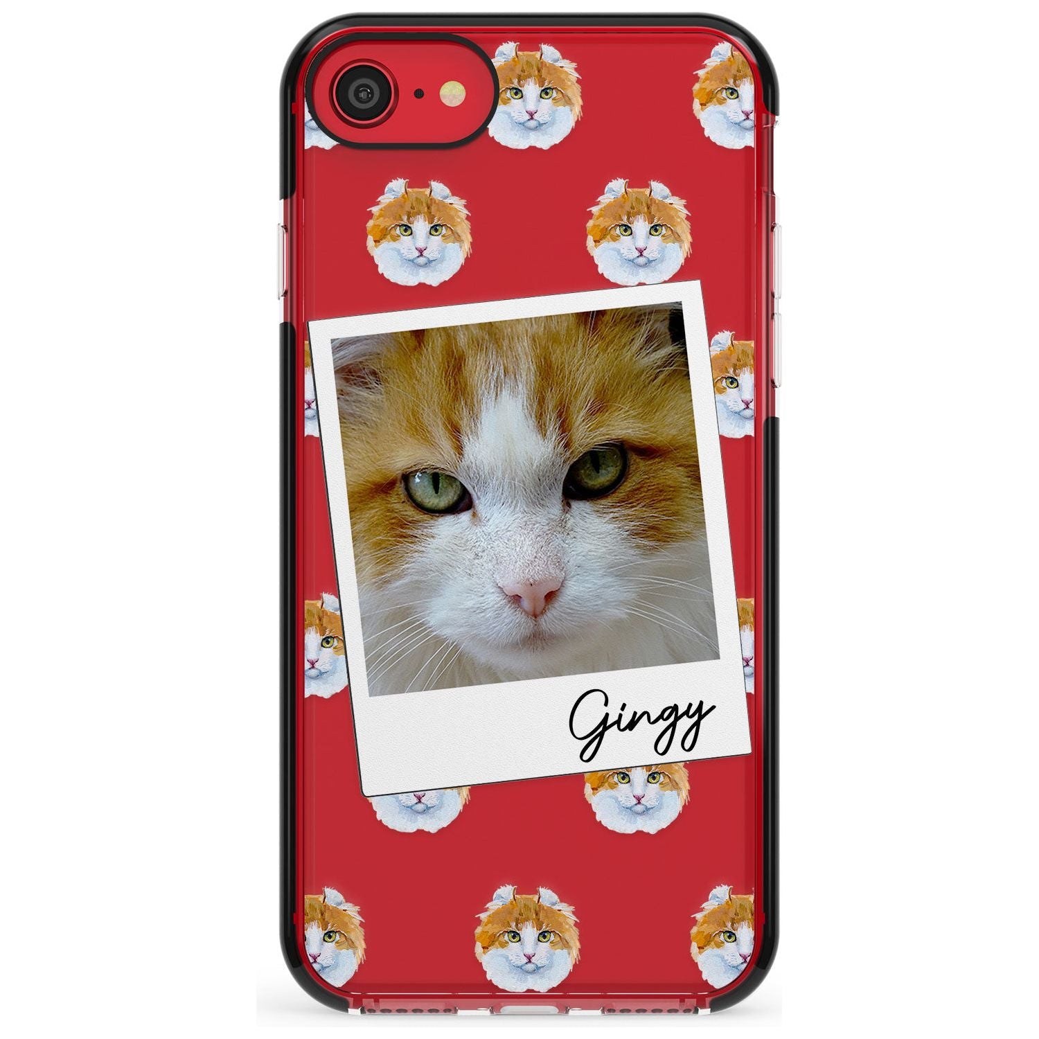 Personalised American Curl Photo Black Impact Phone Case for iPhone SE 8 7 Plus