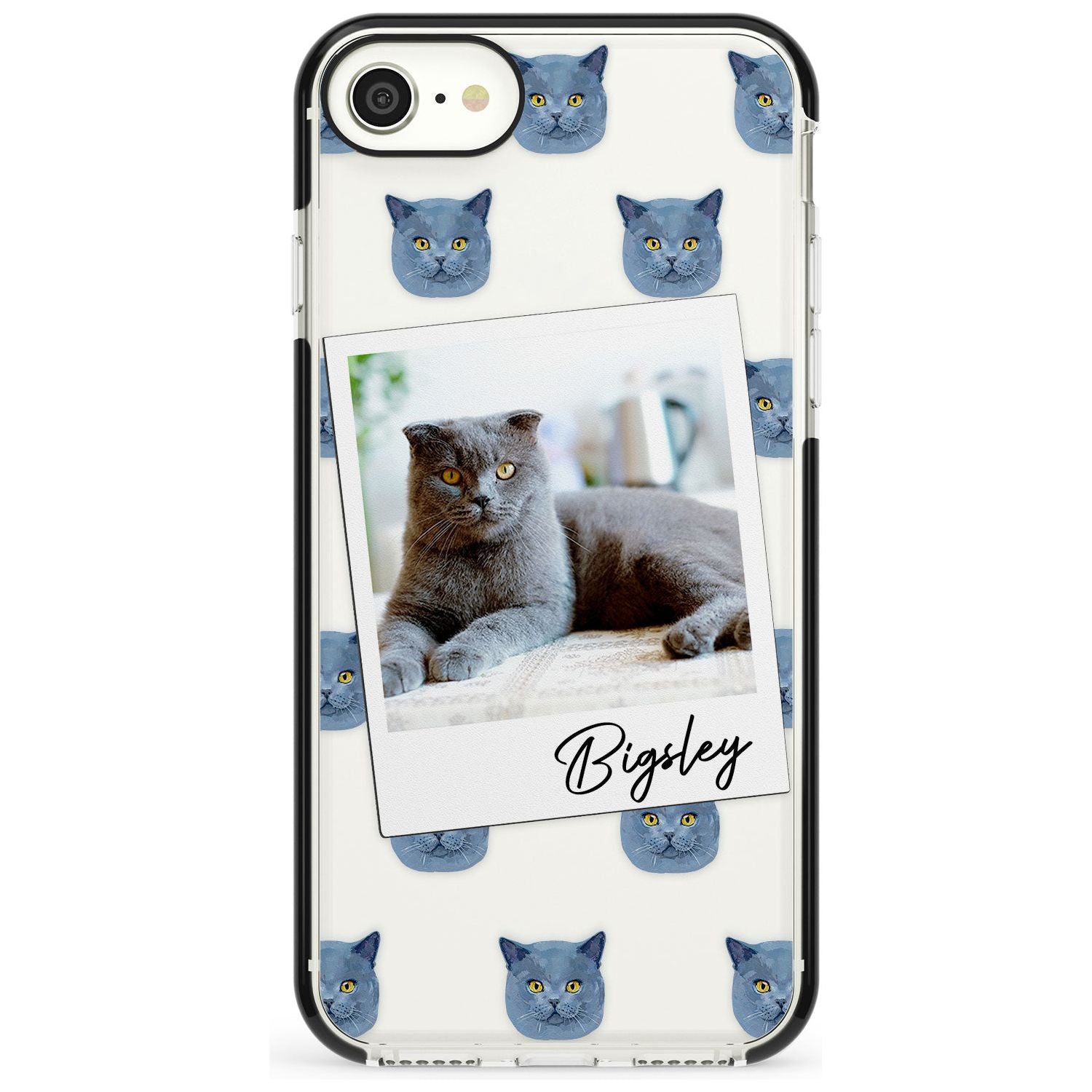 Personalised English Blue Cat Photo Black Impact Phone Case for iPhone SE 8 7 Plus