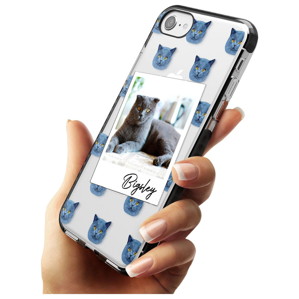 Personalised English Blue Cat Photo Black Impact Phone Case for iPhone SE 8 7 Plus