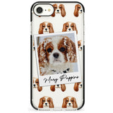 Cavalier King Charles - Custom Dog Photo Pink Fade Impact Phone Case for iPhone SE 8 7 Plus