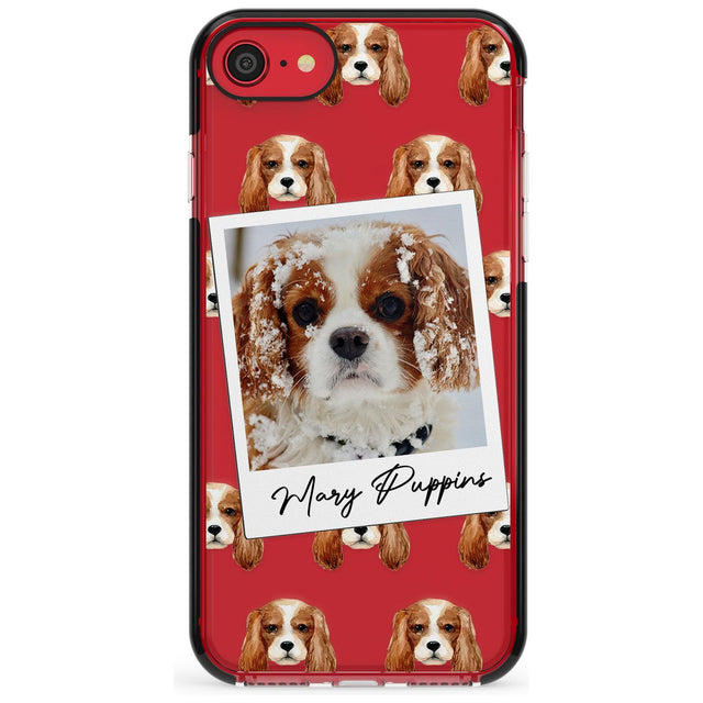 Cavalier King Charles - Custom Dog Photo Pink Fade Impact Phone Case for iPhone SE 8 7 Plus