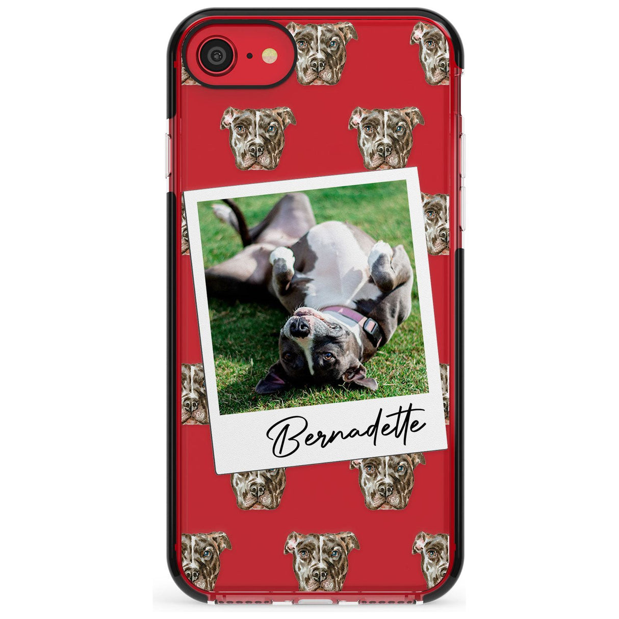 Staffordshire Bull Terrier - Custom Dog Photo Pink Fade Impact Phone Case for iPhone SE 8 7 Plus