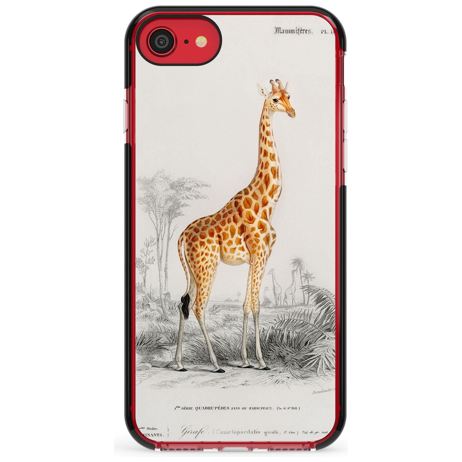 Vintage Girafe Art Black Impact Phone Case for iPhone SE 8 7 Plus