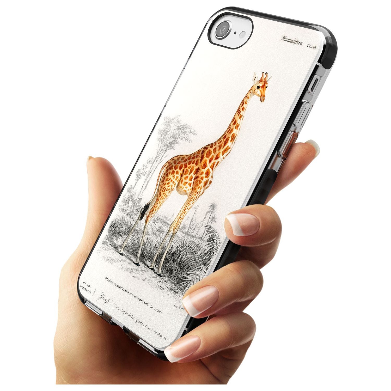 Vintage Girafe Art Black Impact Phone Case for iPhone SE 8 7 Plus