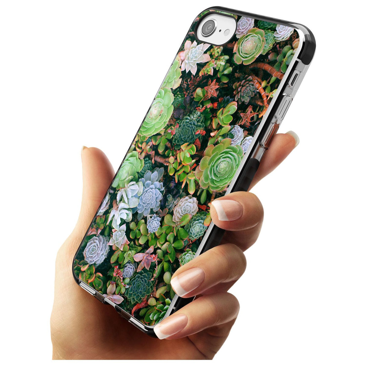 Colourful Succulents Photograph Black Impact Phone Case for iPhone SE 8 7 Plus