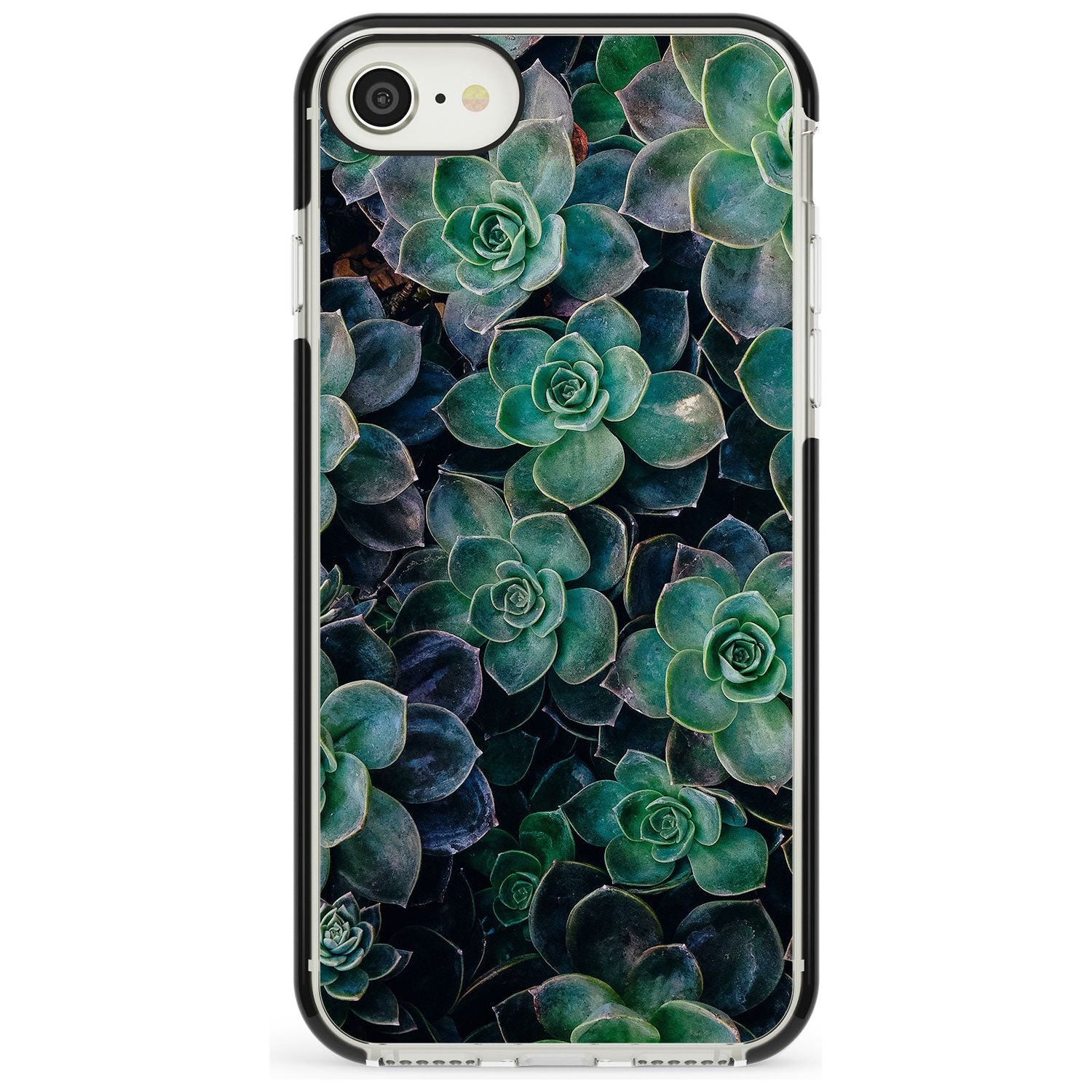 Succulents - Real Botanical Photographs Black Impact Phone Case for iPhone SE 8 7 Plus