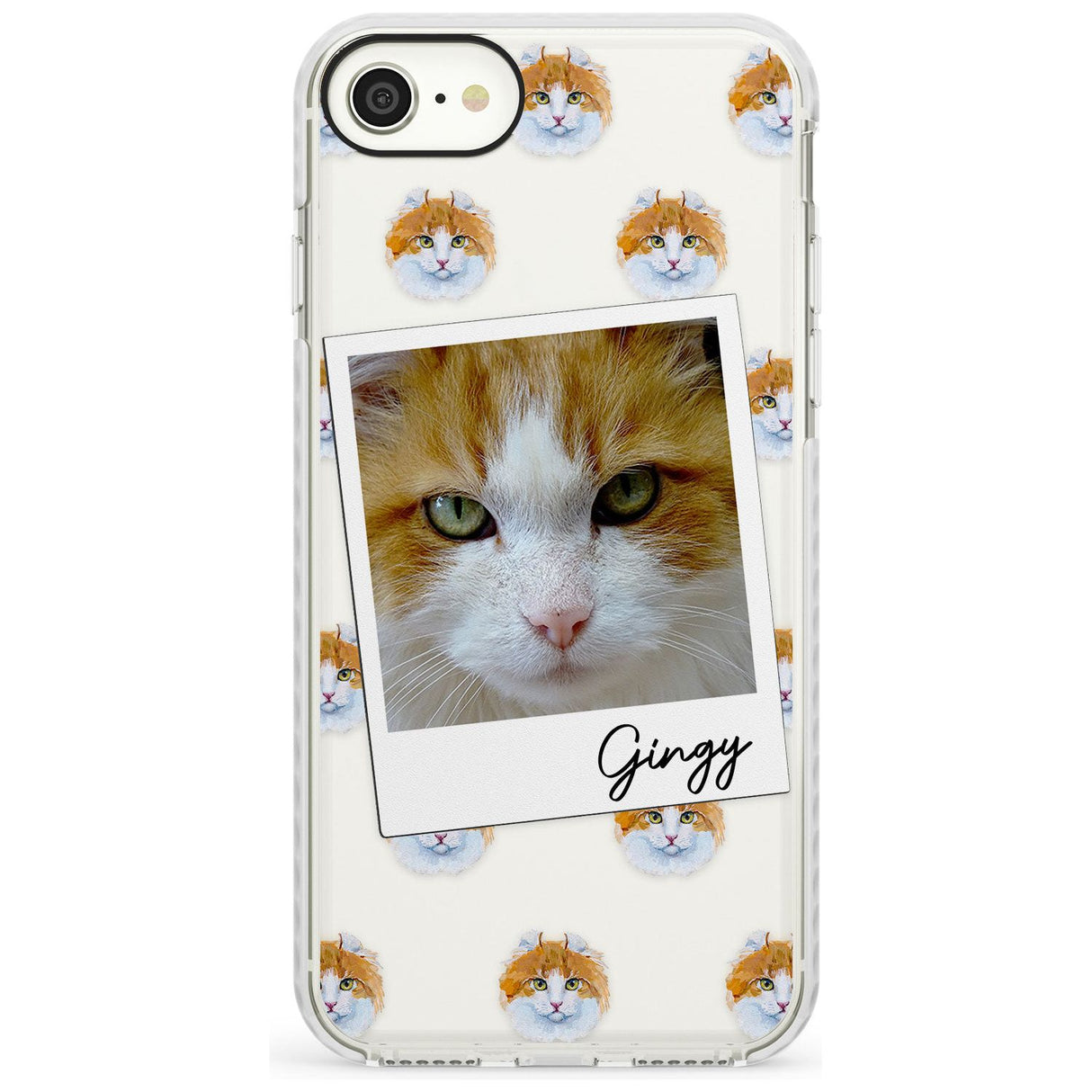 Personalised American Curl Photo Impact Phone Case for iPhone SE 8 7 Plus