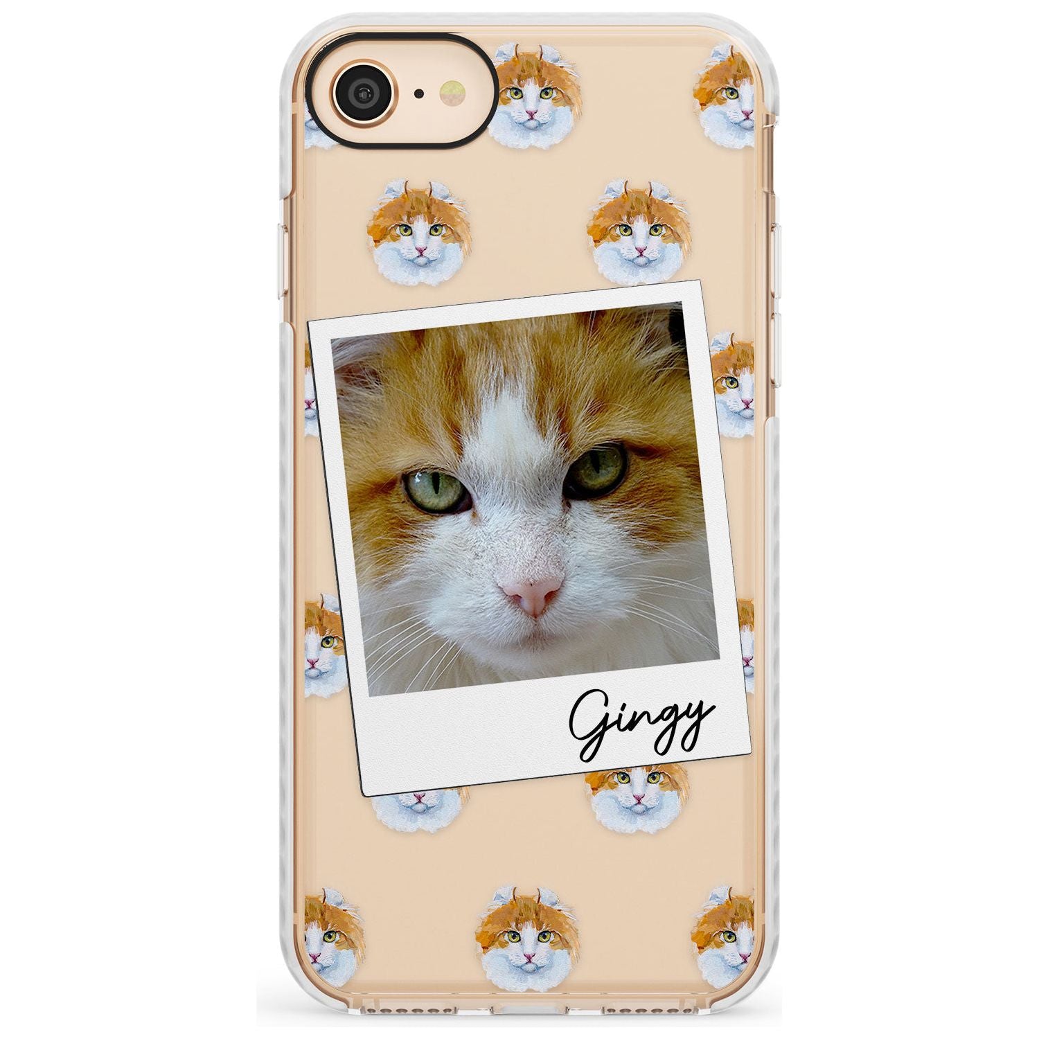 Personalised American Curl Photo Impact Phone Case for iPhone SE 8 7 Plus
