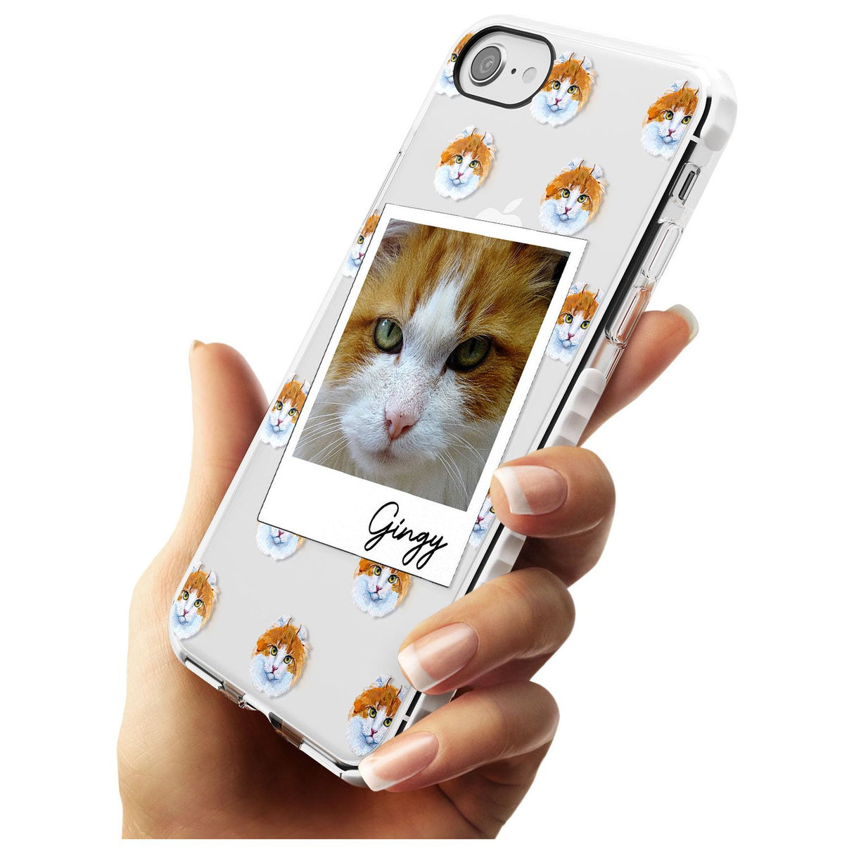 Personalised American Curl Photo Impact Phone Case for iPhone SE 8 7 Plus