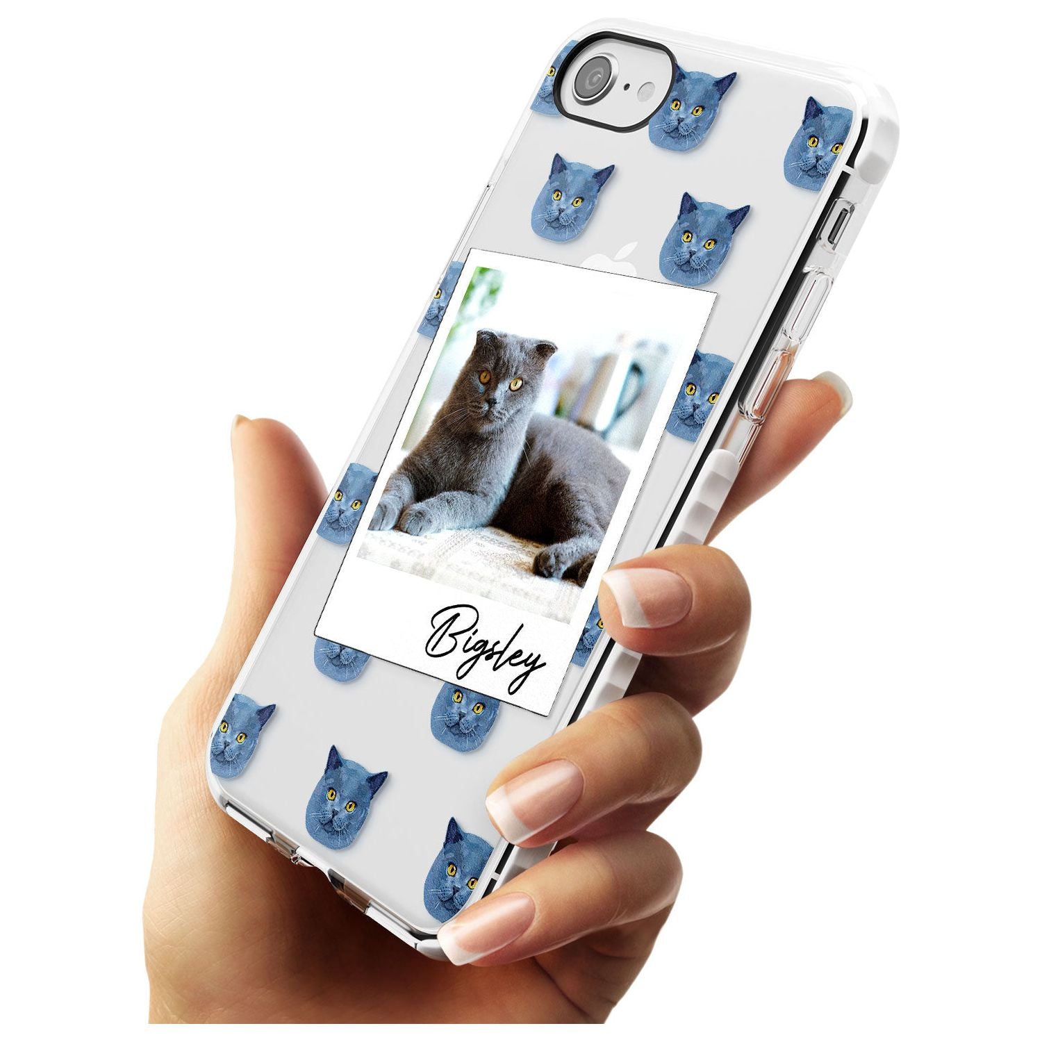 Personalised English Blue Cat Photo Impact Phone Case for iPhone SE 8 7 Plus