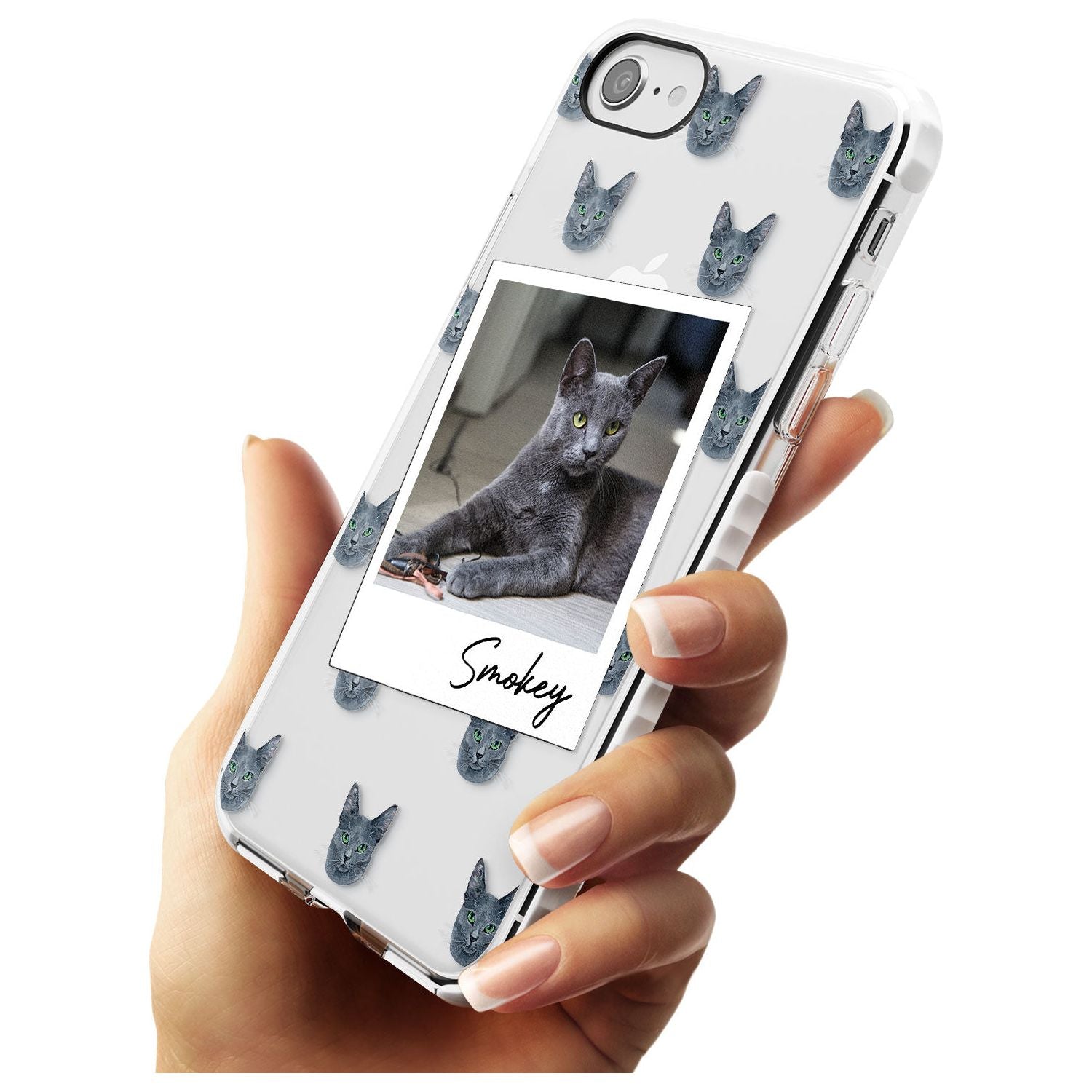 Personalised Korat Cat Photo Impact Phone Case for iPhone SE 8 7 Plus