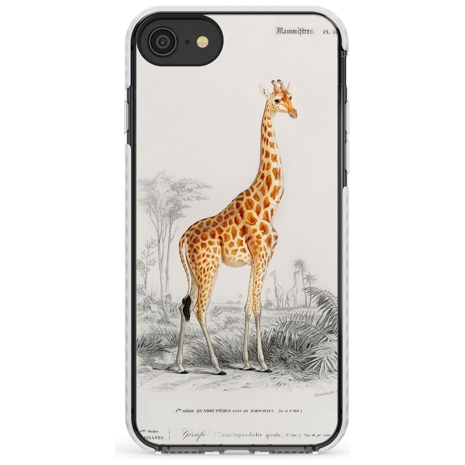 Vintage Girafe Art Impact Phone Case for iPhone SE 8 7 Plus