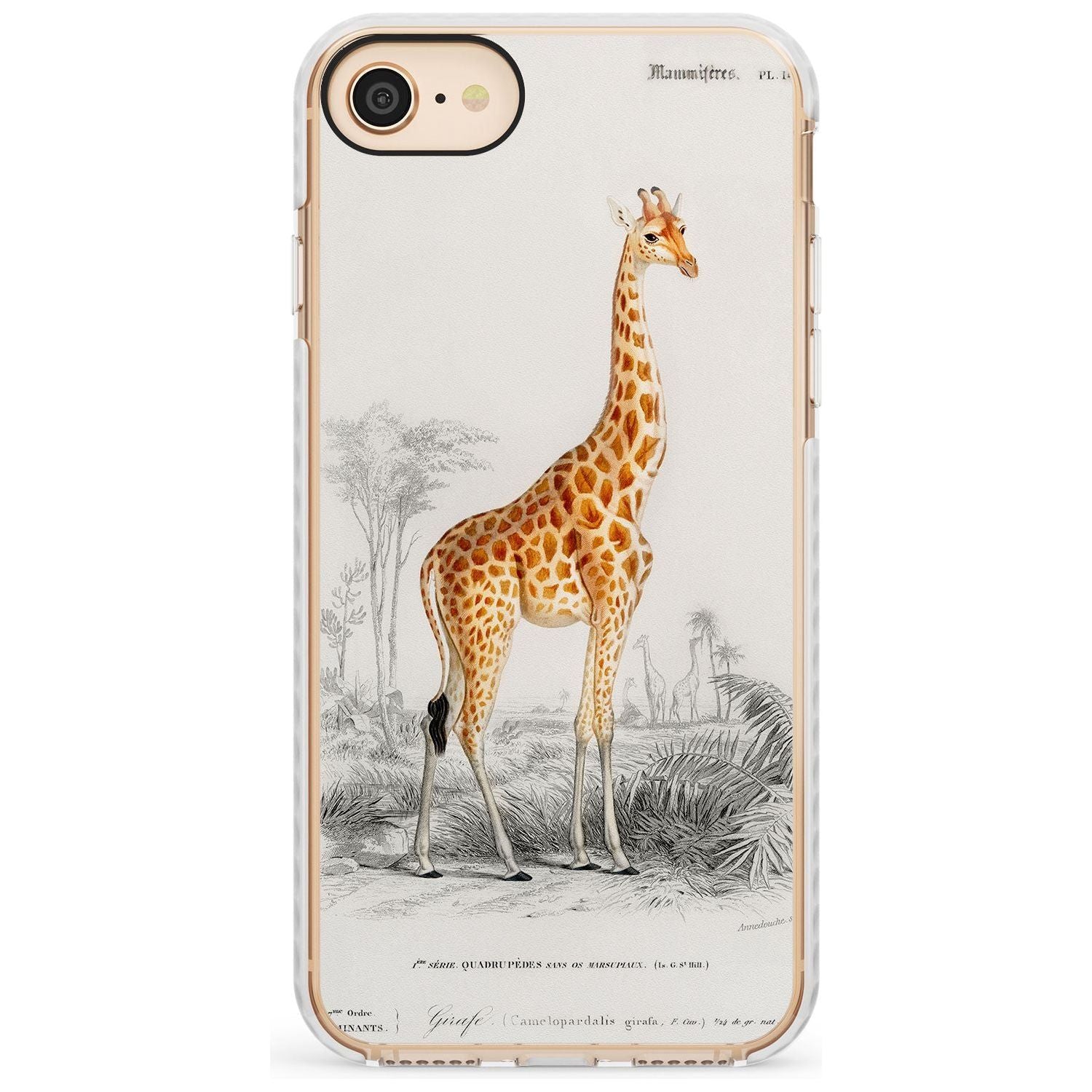 Vintage Girafe Art Impact Phone Case for iPhone SE 8 7 Plus