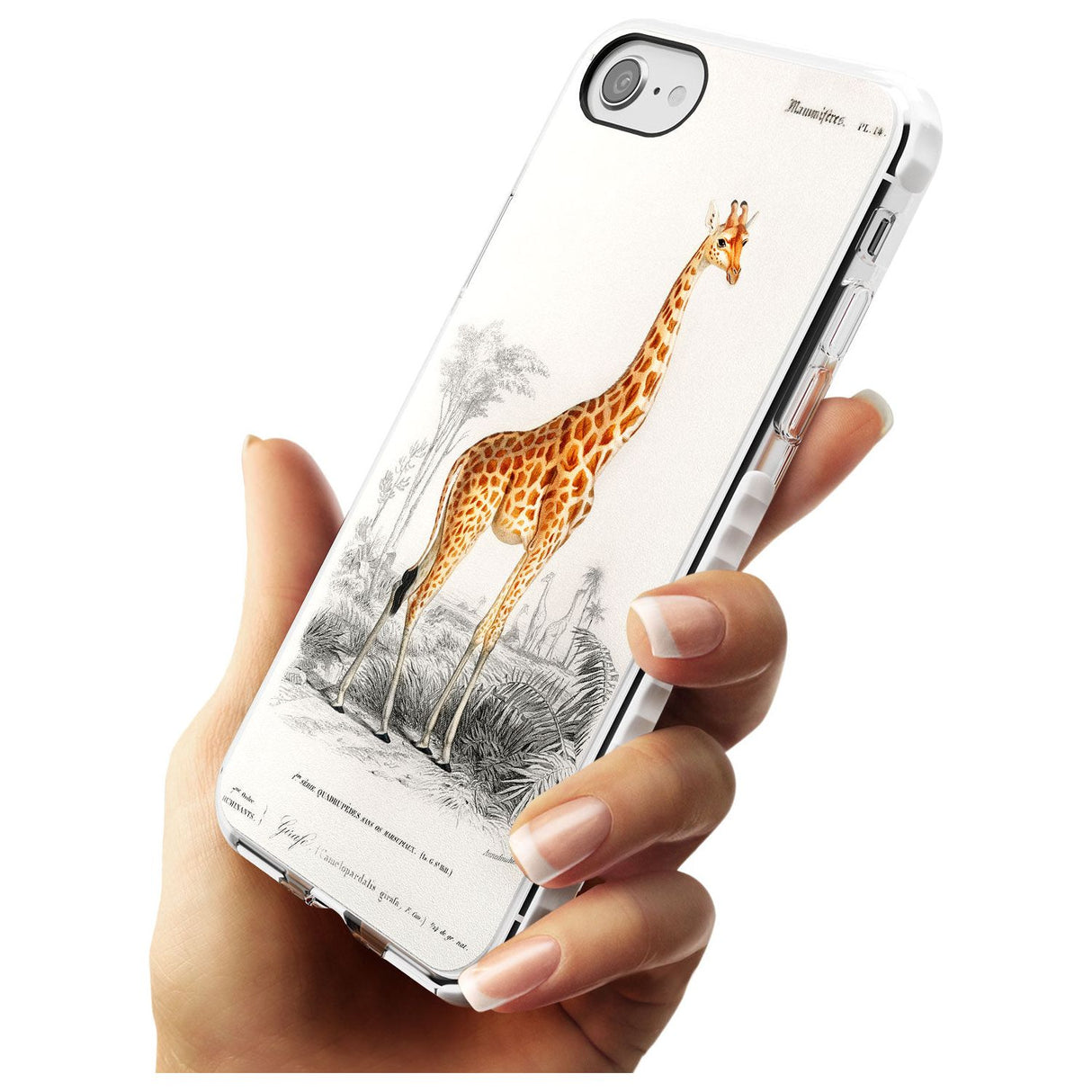 Vintage Girafe Art Impact Phone Case for iPhone SE 8 7 Plus