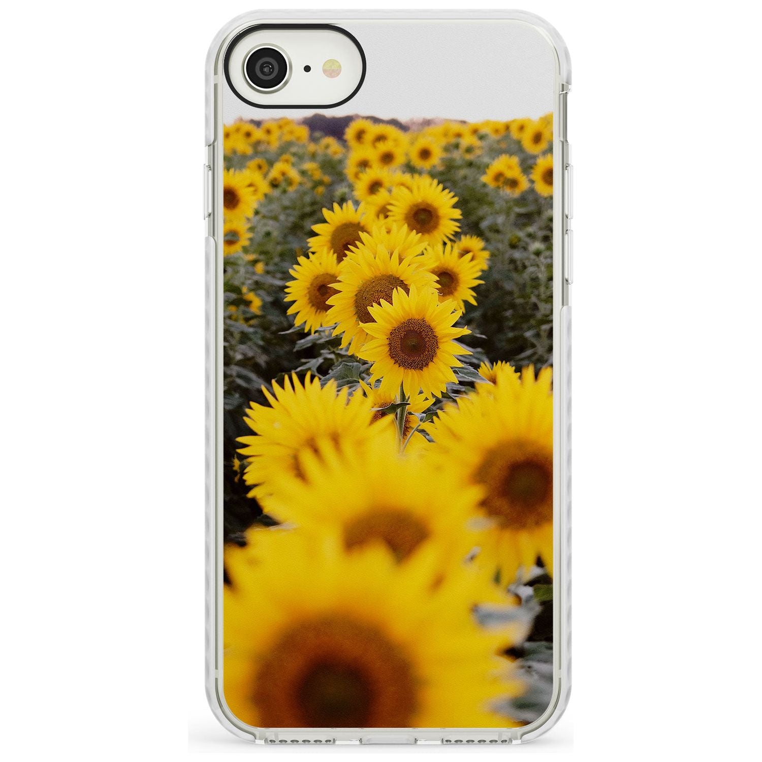 Sunflower Field Photograph Impact Phone Case for iPhone SE 8 7 Plus