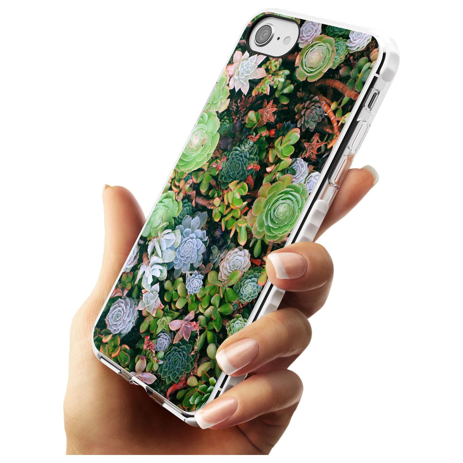 Colourful Succulents Photograph Impact Phone Case for iPhone SE 8 7 Plus