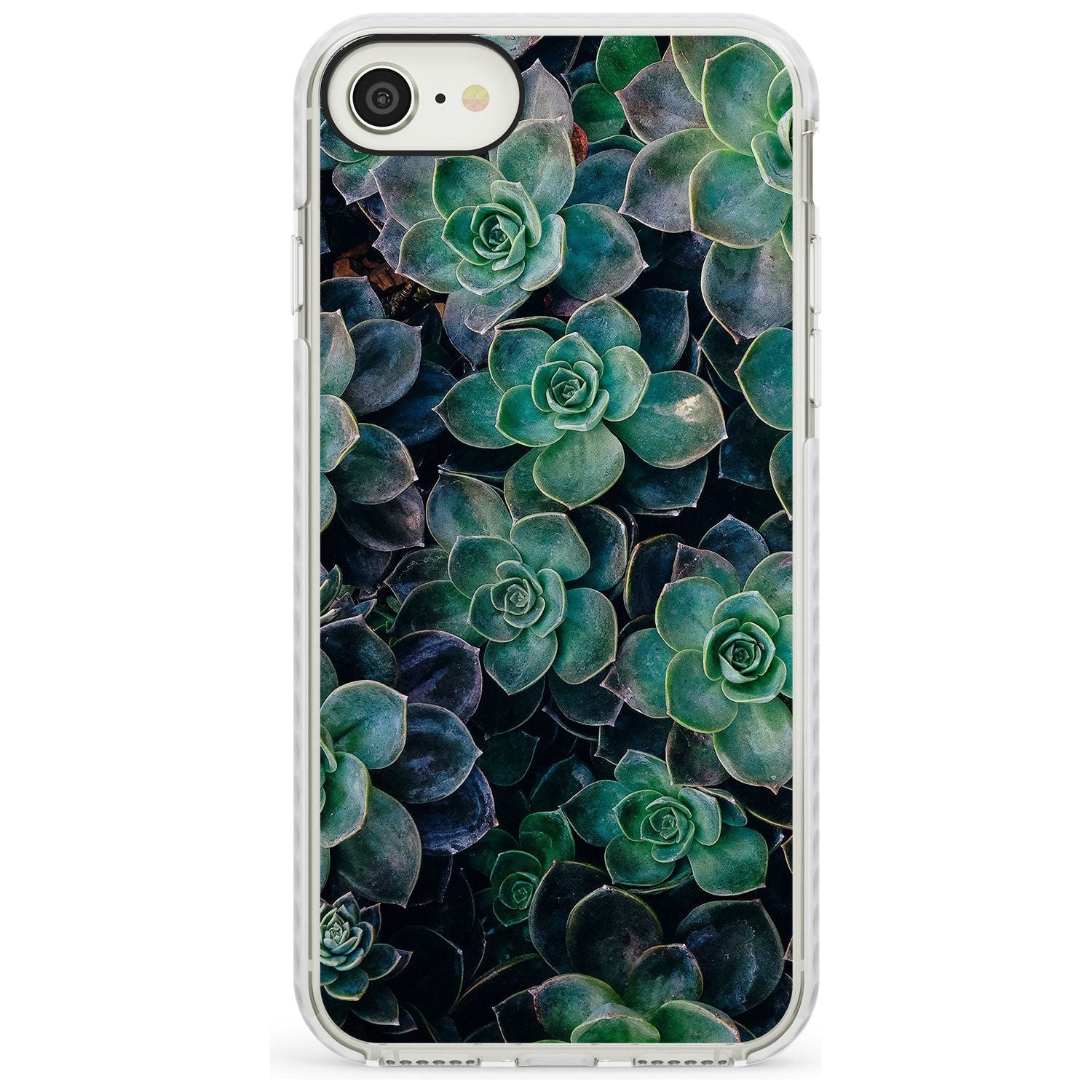 Succulents - Real Botanical Photographs Impact Phone Case for iPhone SE 8 7 Plus