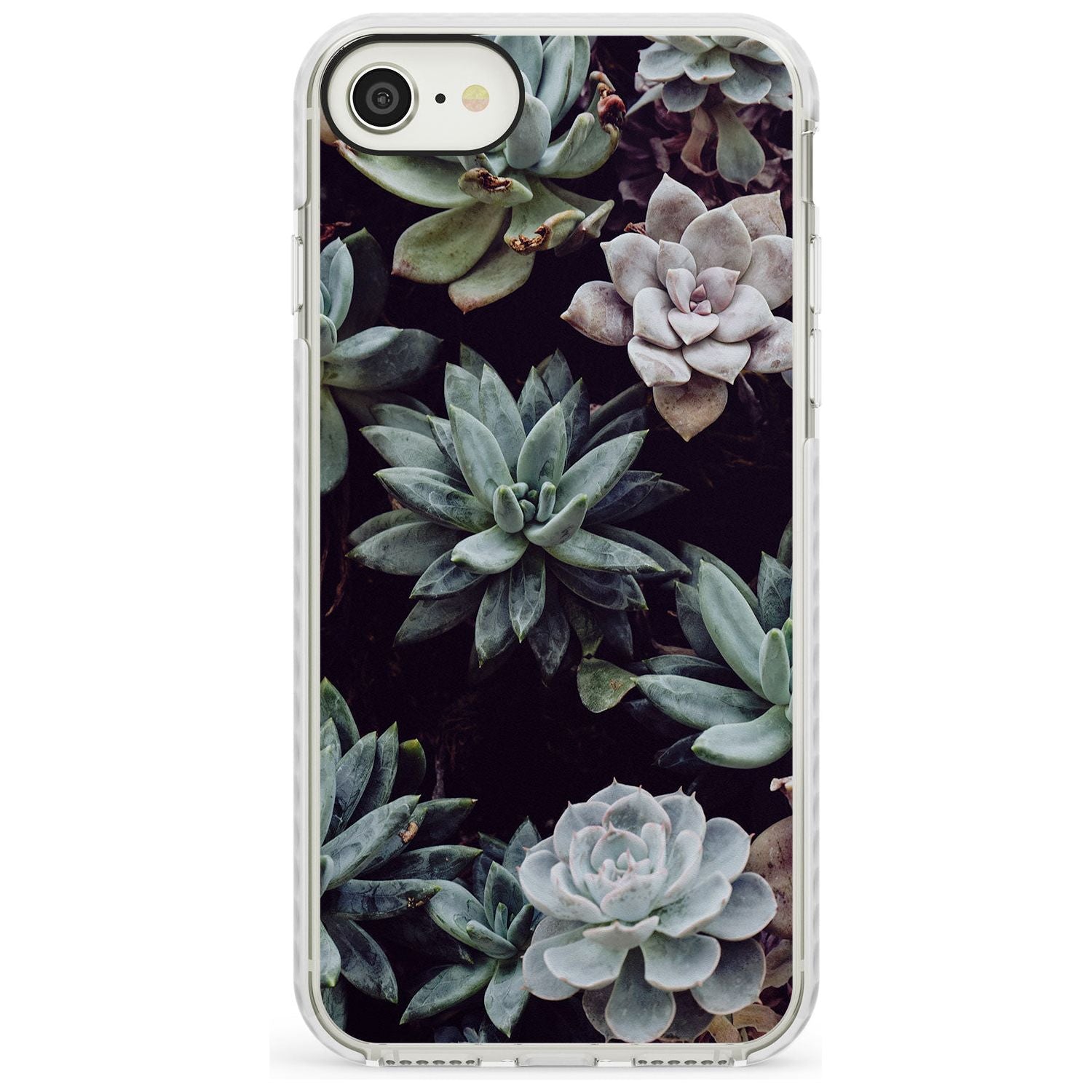 Mixed Succulents - Real Botanical Photographs Impact Phone Case for iPhone SE 8 7 Plus