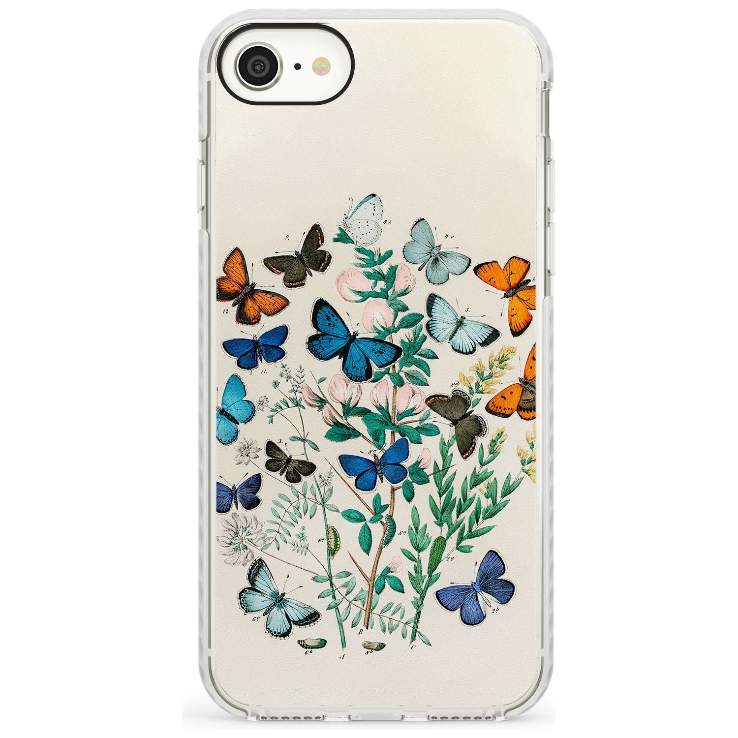 European Butterflies Impact Phone Case for iPhone SE 8 7 Plus