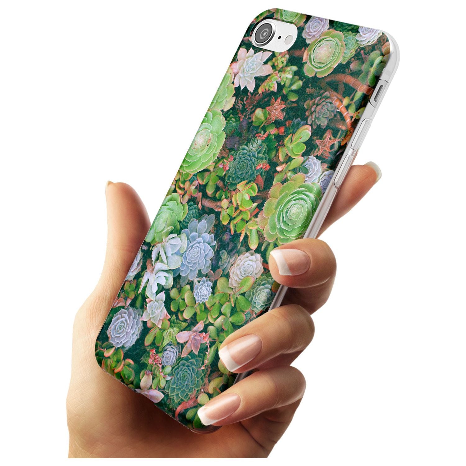 Colourful Succulents Photograph Slim TPU Phone Case for iPhone SE 8 7 Plus