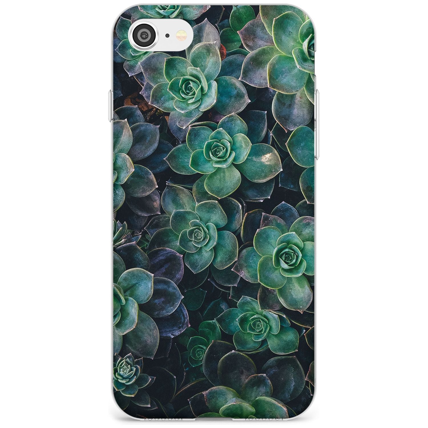 Succulents - Real Botanical Photographs Slim TPU Phone Case for iPhone SE 8 7 Plus