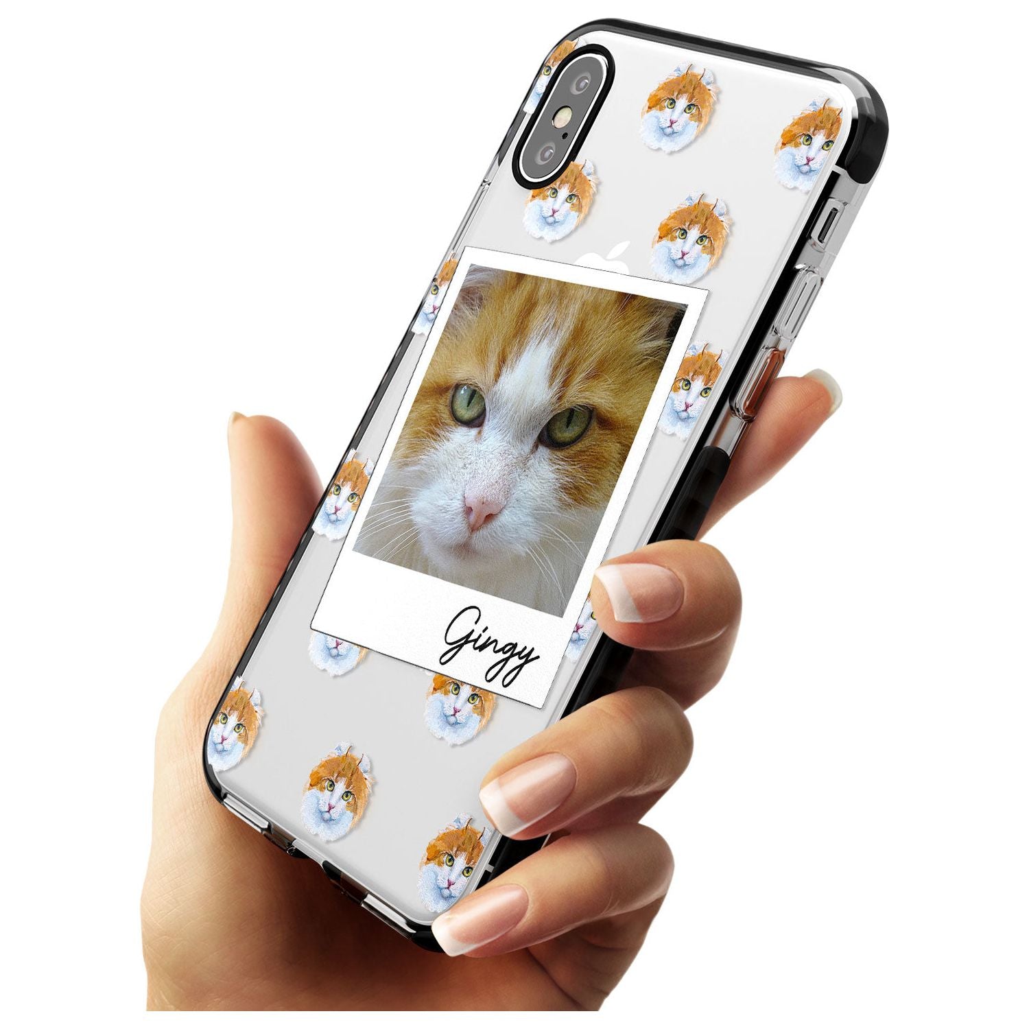 Personalised American Curl Photo Black Impact Phone Case for iPhone X XS Max XR