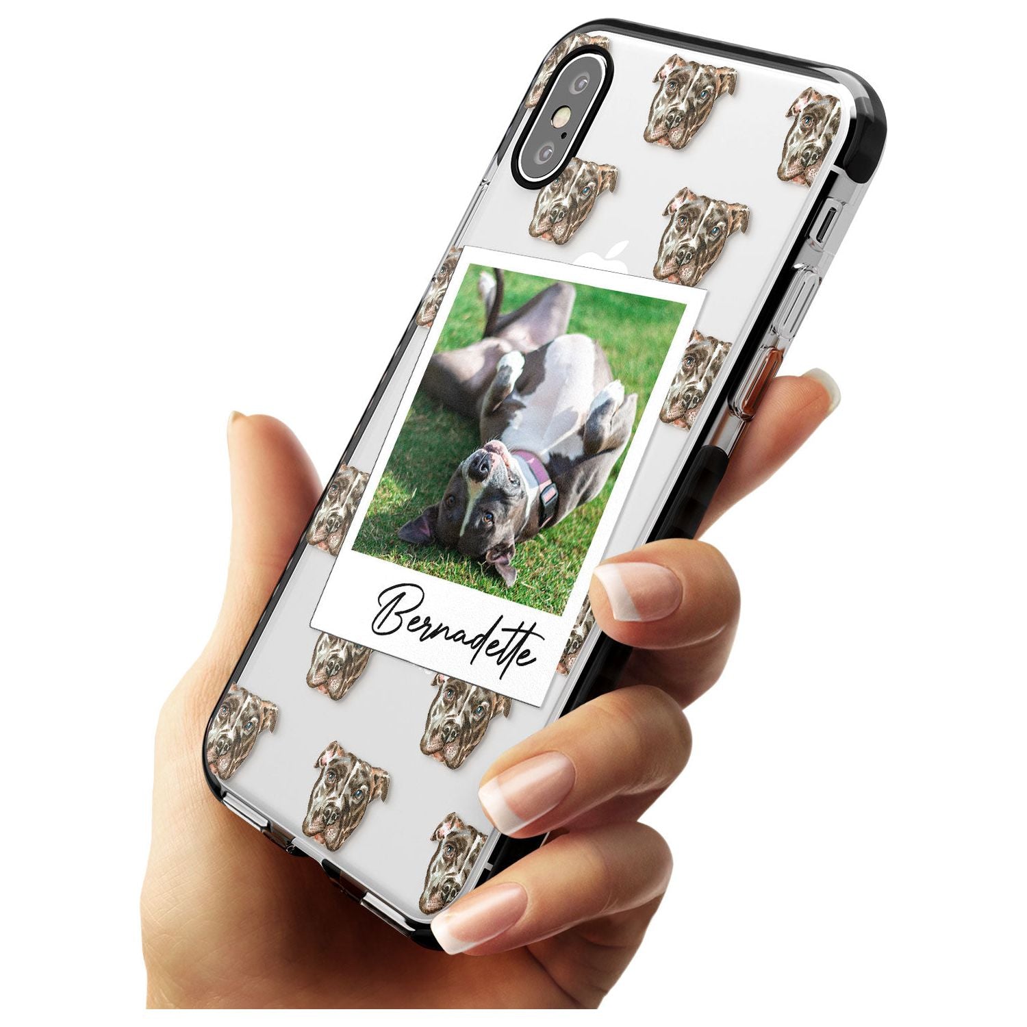 Staffordshire Bull Terrier - Custom Dog Photo Pink Fade Impact Phone Case for iPhone X XS Max XR