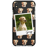 Labrador, Tan - Custom Dog Photo Pink Fade Impact Phone Case for iPhone X XS Max XR