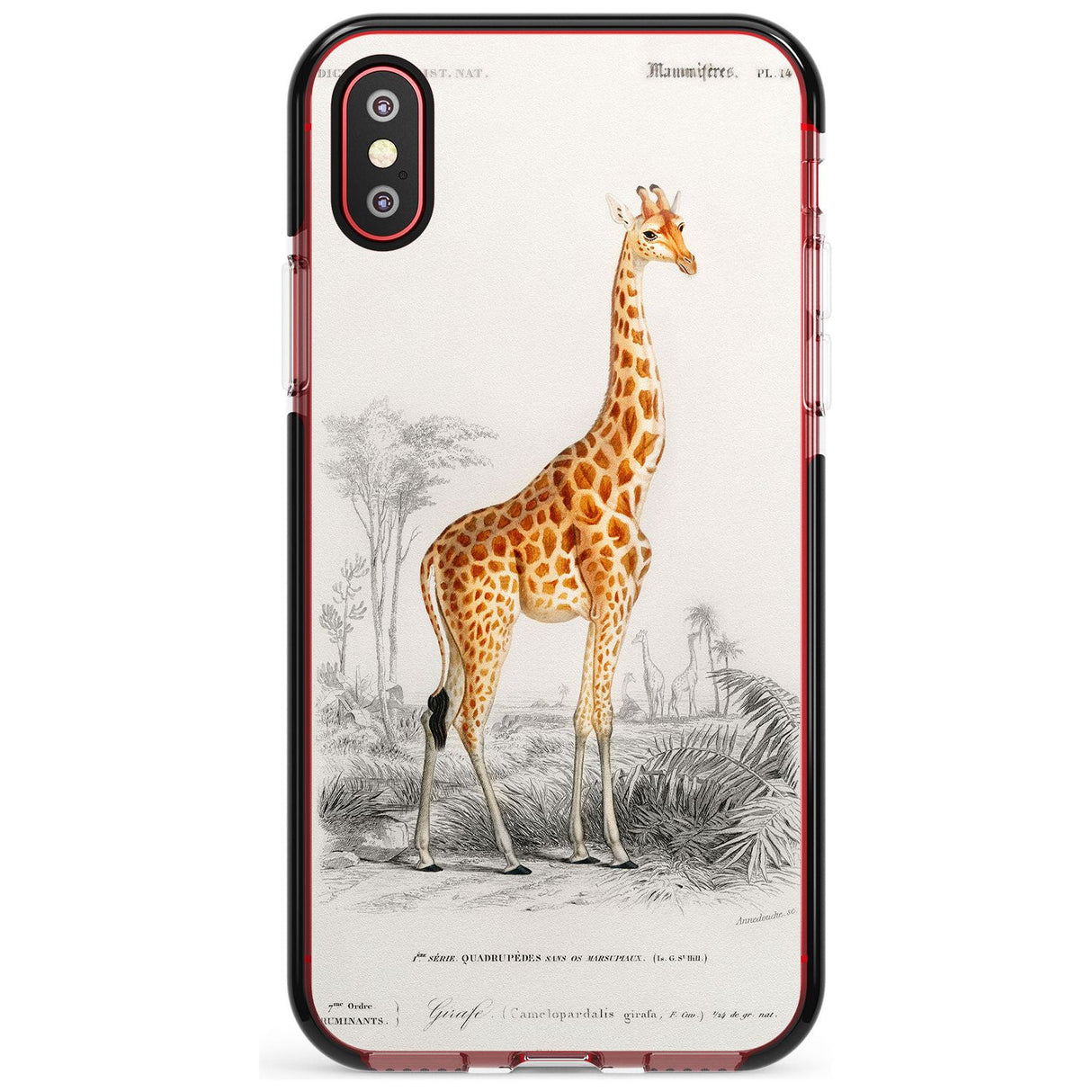 Vintage Girafe Art Black Impact Phone Case for iPhone X XS Max XR