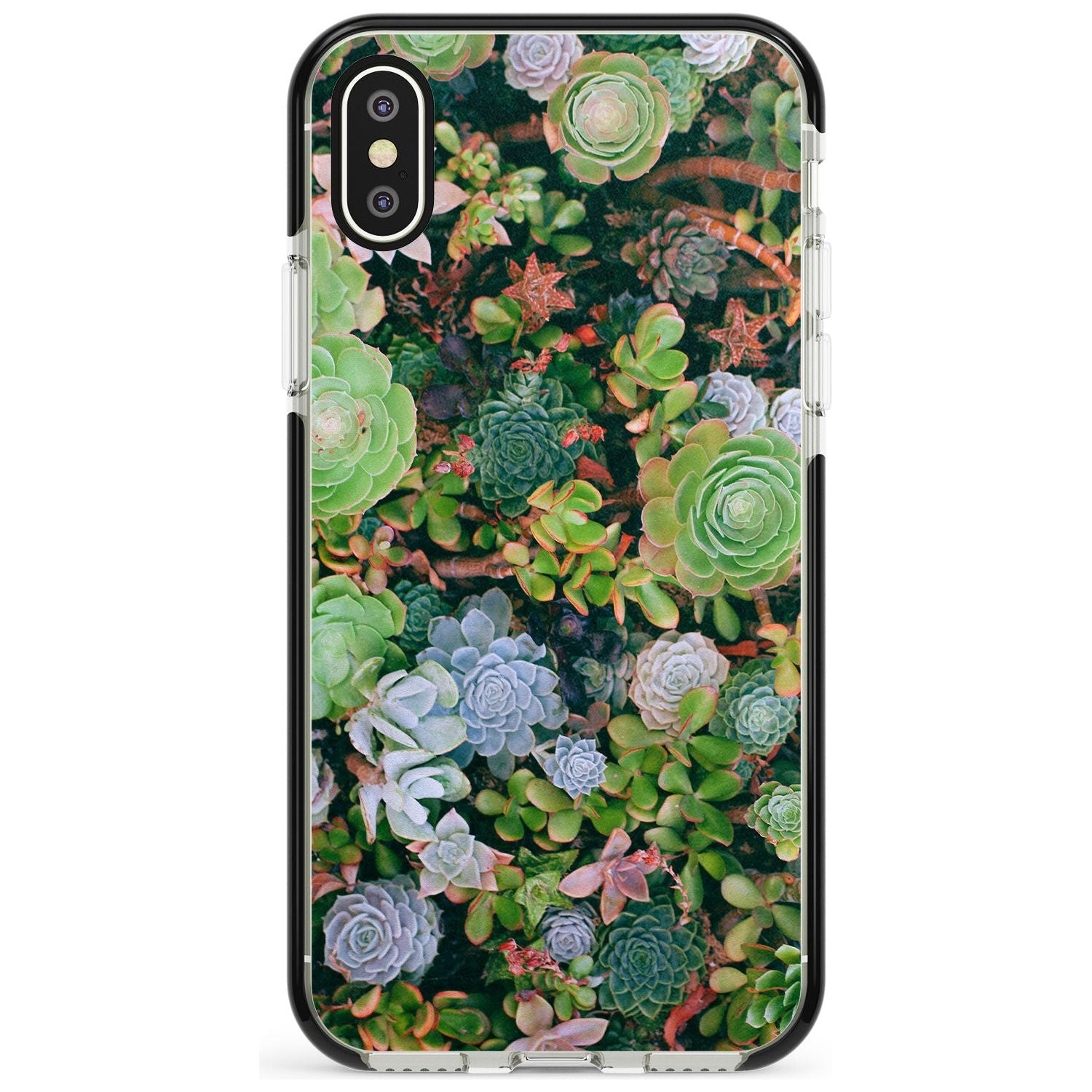 Colourful Succulents Photograph Black Impact Phone Case for iPhone X XS Max XR