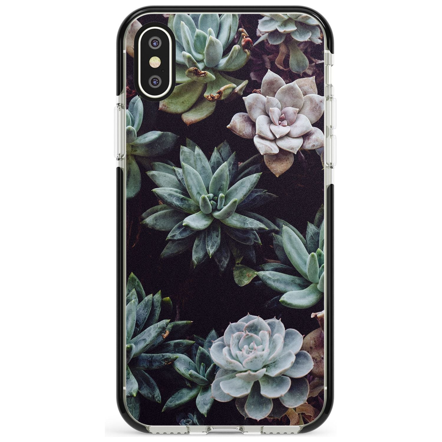 Mixed Succulents - Real Botanical Photographs Black Impact Phone Case for iPhone X XS Max XR