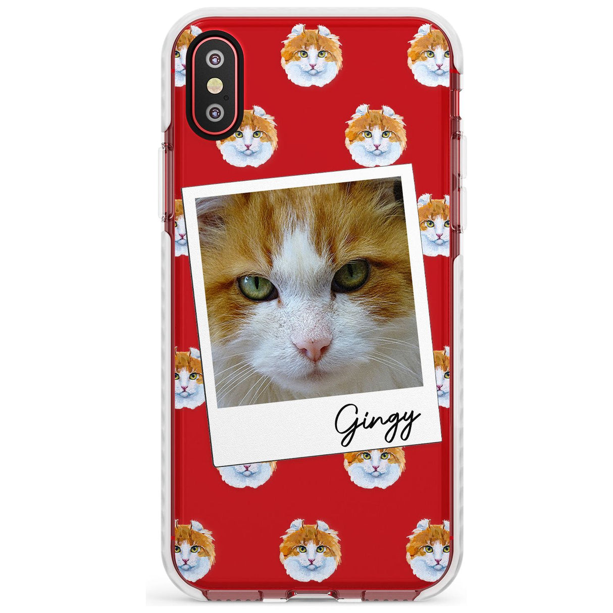 Personalised American Curl Photo Impact Phone Case for iPhone X XS Max XR