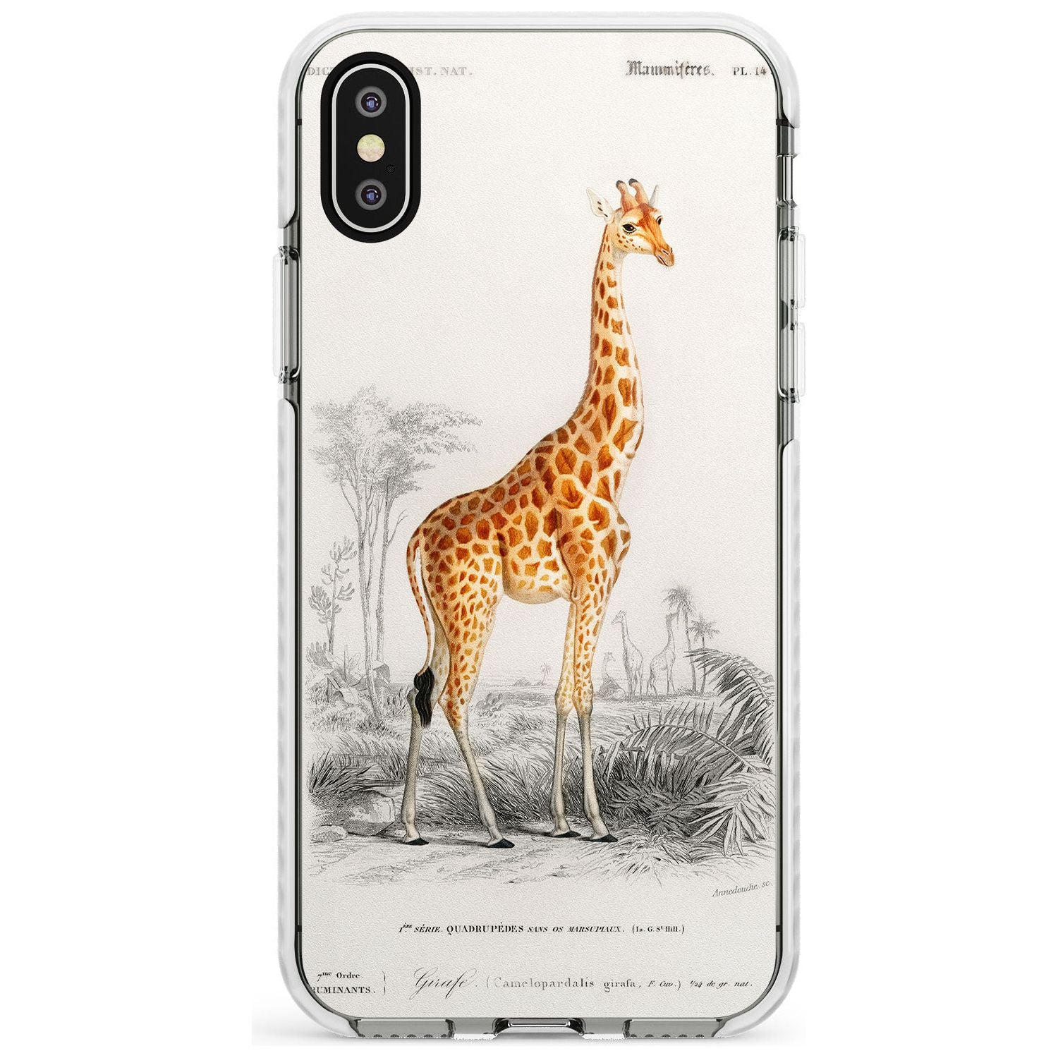 Vintage Girafe Art Impact Phone Case for iPhone X XS Max XR