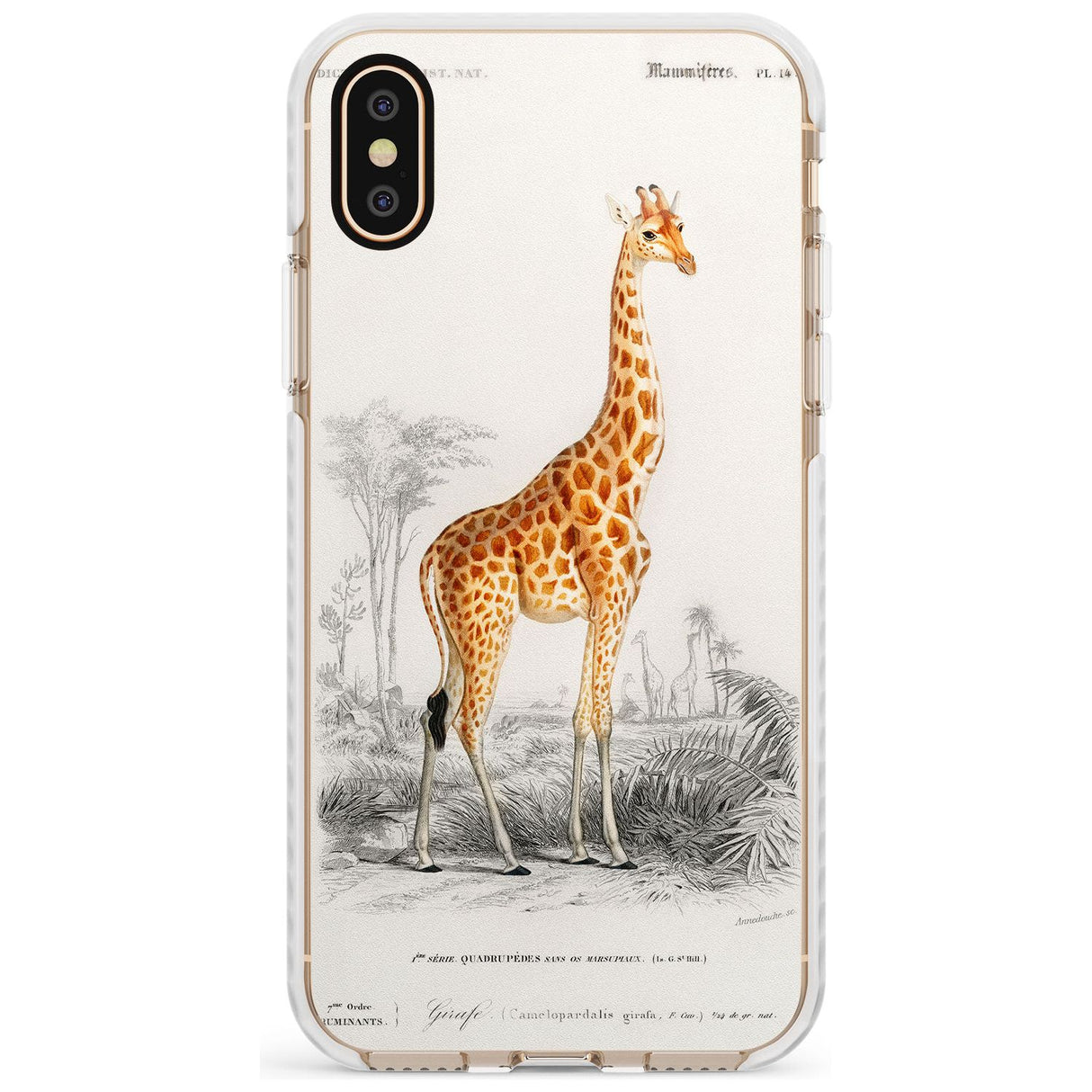 Vintage Girafe Art Impact Phone Case for iPhone X XS Max XR