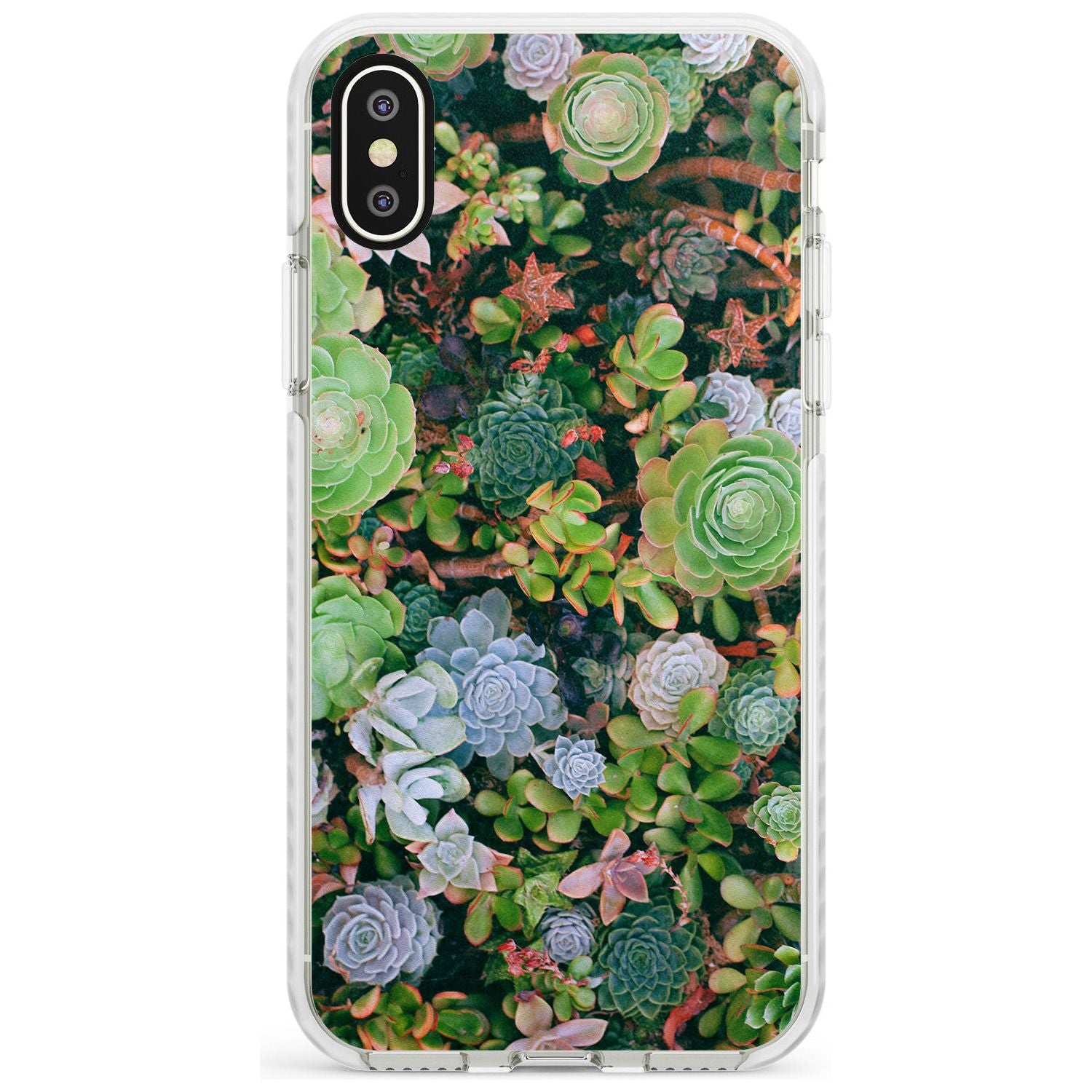 Colourful Succulents Photograph Impact Phone Case for iPhone X XS Max XR