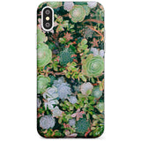 Colourful Succulents Photograph Slim TPU Phone Case Warehouse X XS Max XR